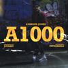 Kashmir Jones - A1000