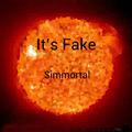 It's Fake(Original Mix)