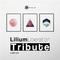 Lilium Liberation -Tribute-专辑