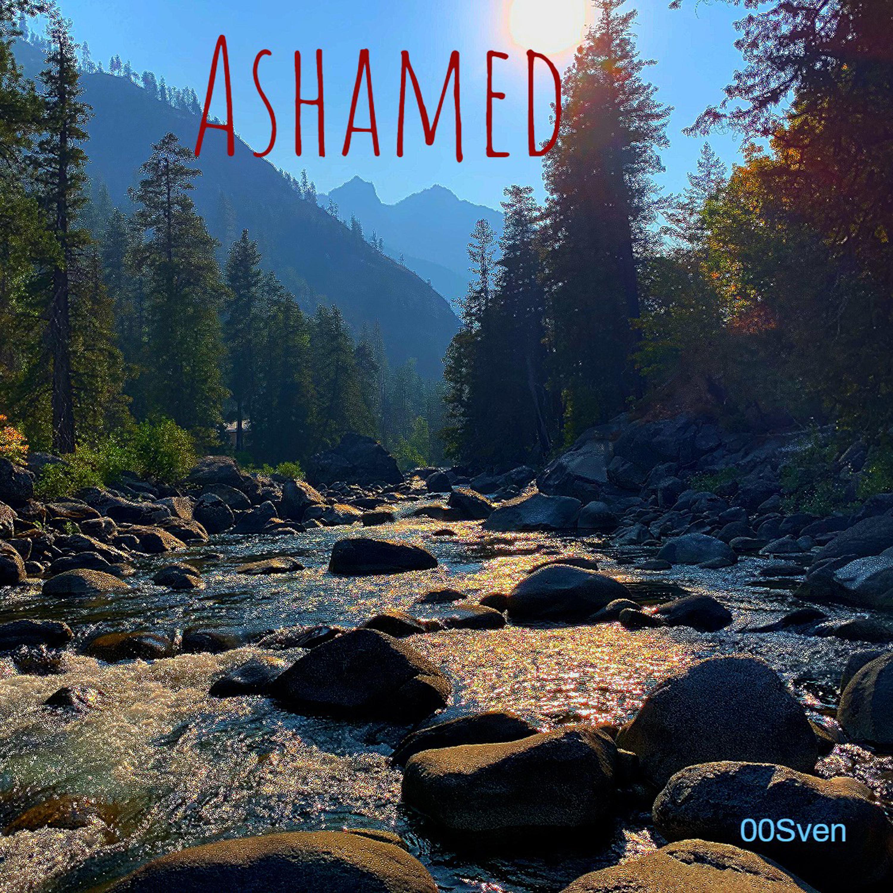 00Sven - Ashamed