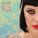 Big Fish专辑