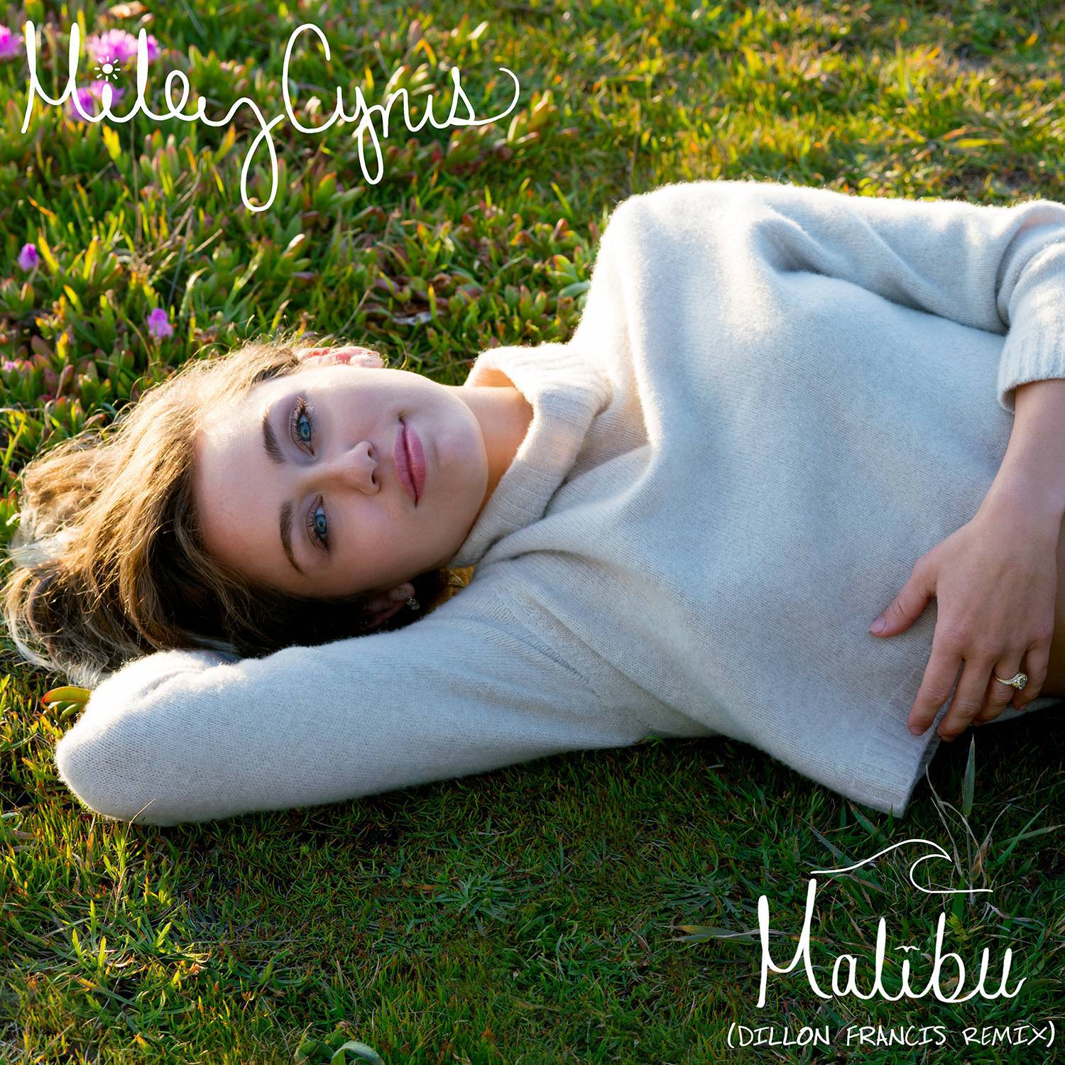 Malibu (Dillon Francis Remix)专辑