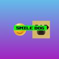 SMILE DOG