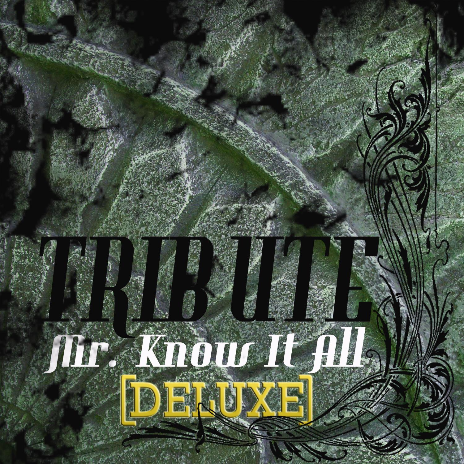 Mr. Know It All (Kelly Clarkson Tribute) - Deluxe Single