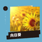 向日葵专辑