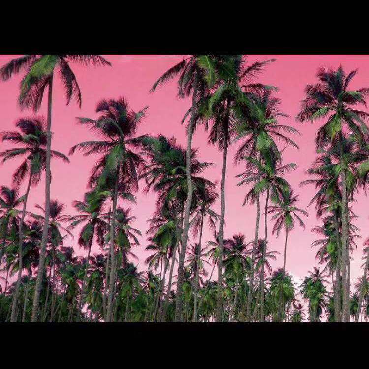 Ariana Grande type beat