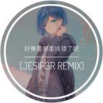 好像是哪里搞错了吧 (JESIP3R REMIX)专辑