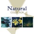 Natural Collection – Ultimate New Age Music, Peaceful Sounds of Nature, Green Garden, Zen, Rest, Rel