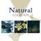 Natural Collection – Ultimate New Age Music, Peaceful Sounds of Nature, Green Garden, Zen, Rest, Rel专辑