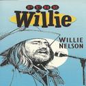 Pure Willie专辑