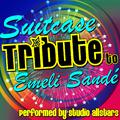 Suitcase (Tribute to Emeli Sandé) - Single