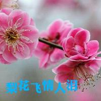 梨花飞情人泪 (原版伴奏)