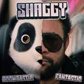 Boombastic (Fantastic)