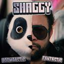 Boombastic (Fantastic)