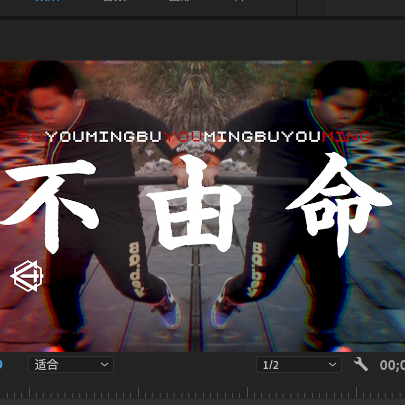 不由命