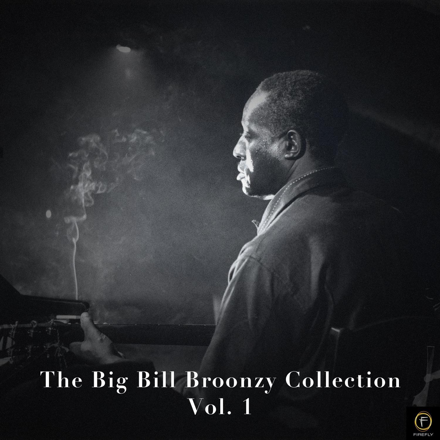 The Big Bill Broonzy Collection, Vol. 1
