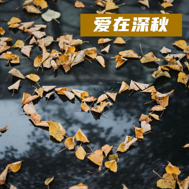 爱在深秋 秋日情歌