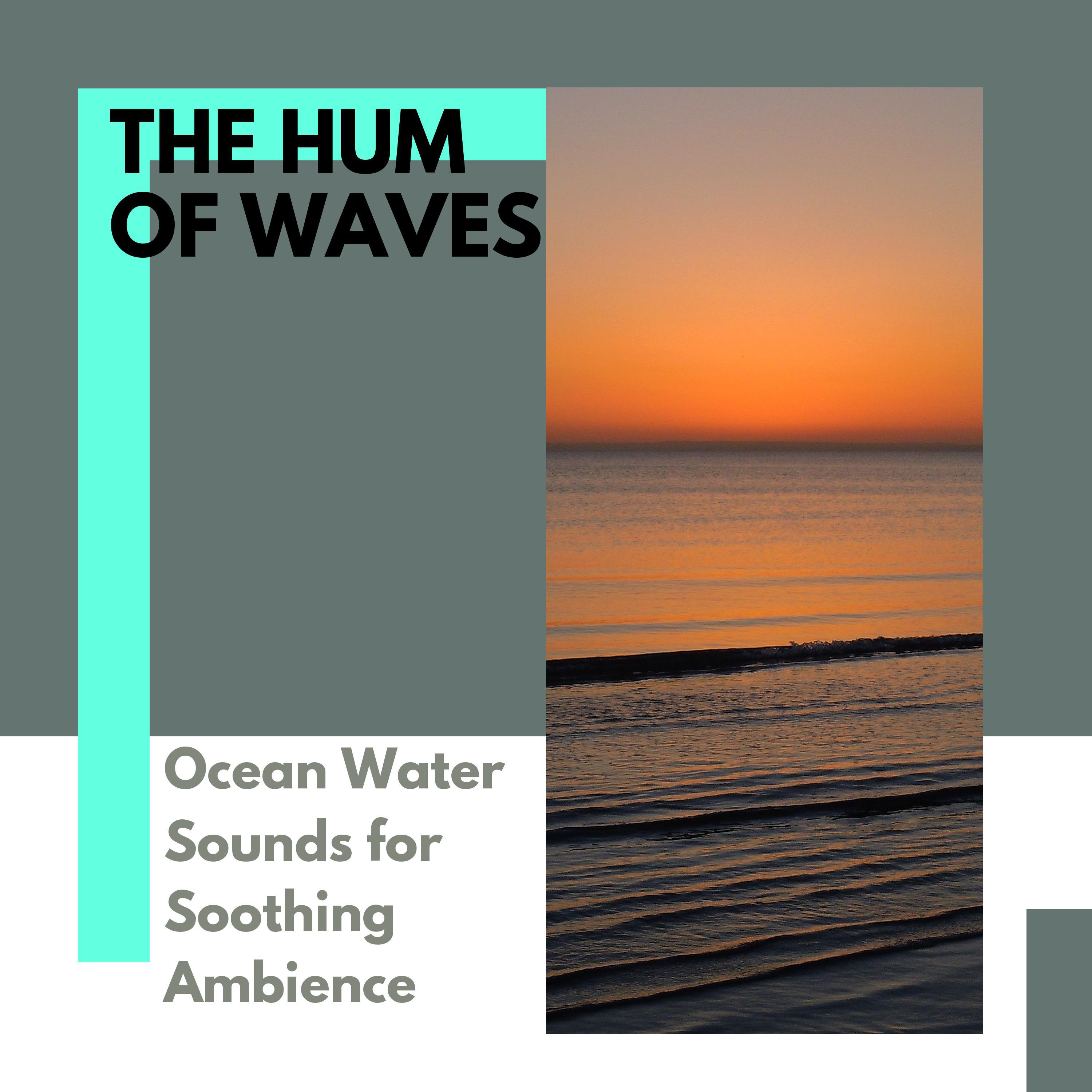 Holly Water Nature Sound Project - Harmonies By Bubbles