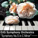 Symphony No. 5 in C Minor专辑