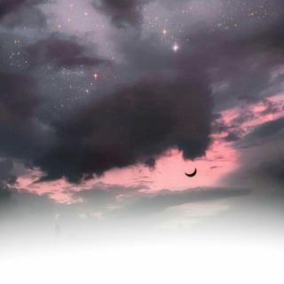 远赴人间惊鸿宴