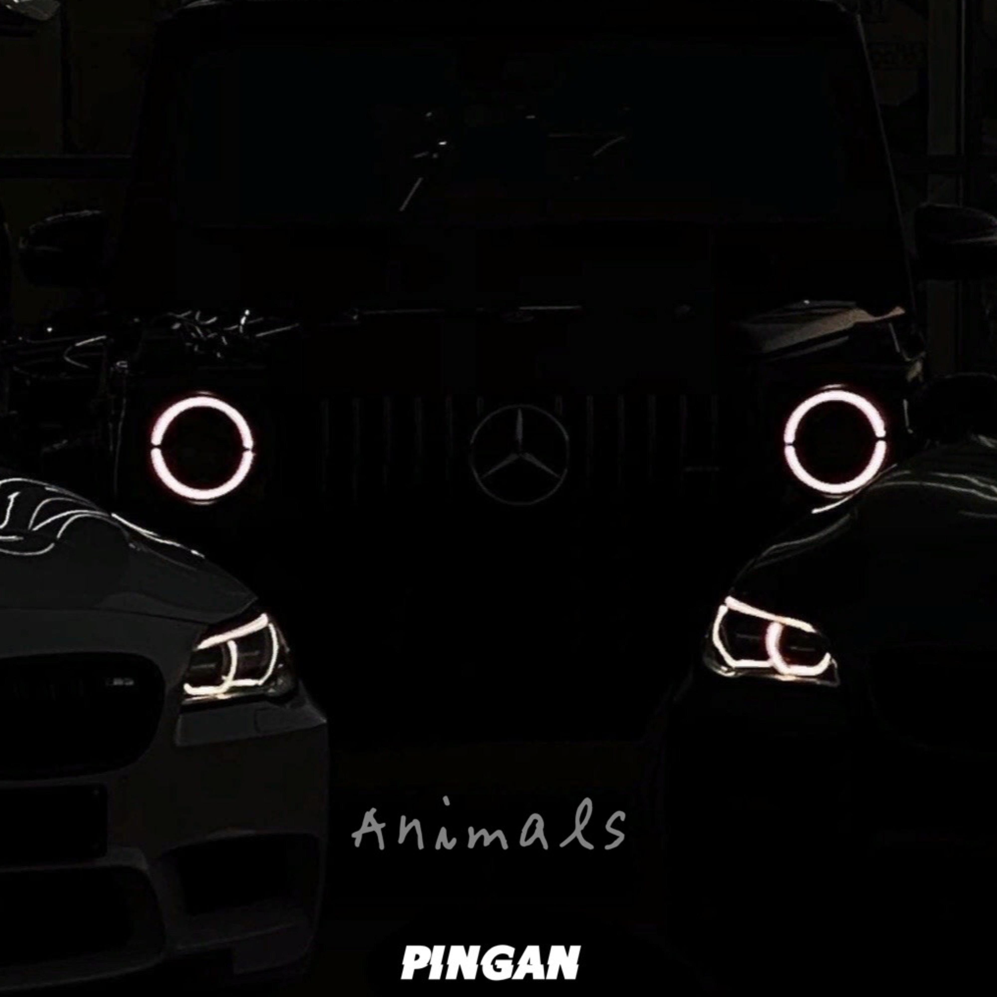 Animals