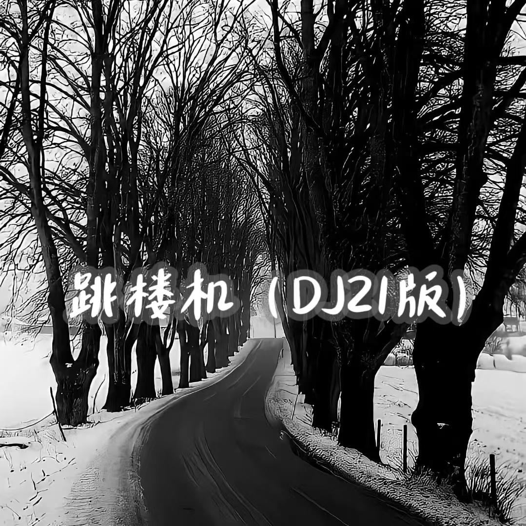 跳楼机（DJ21版）