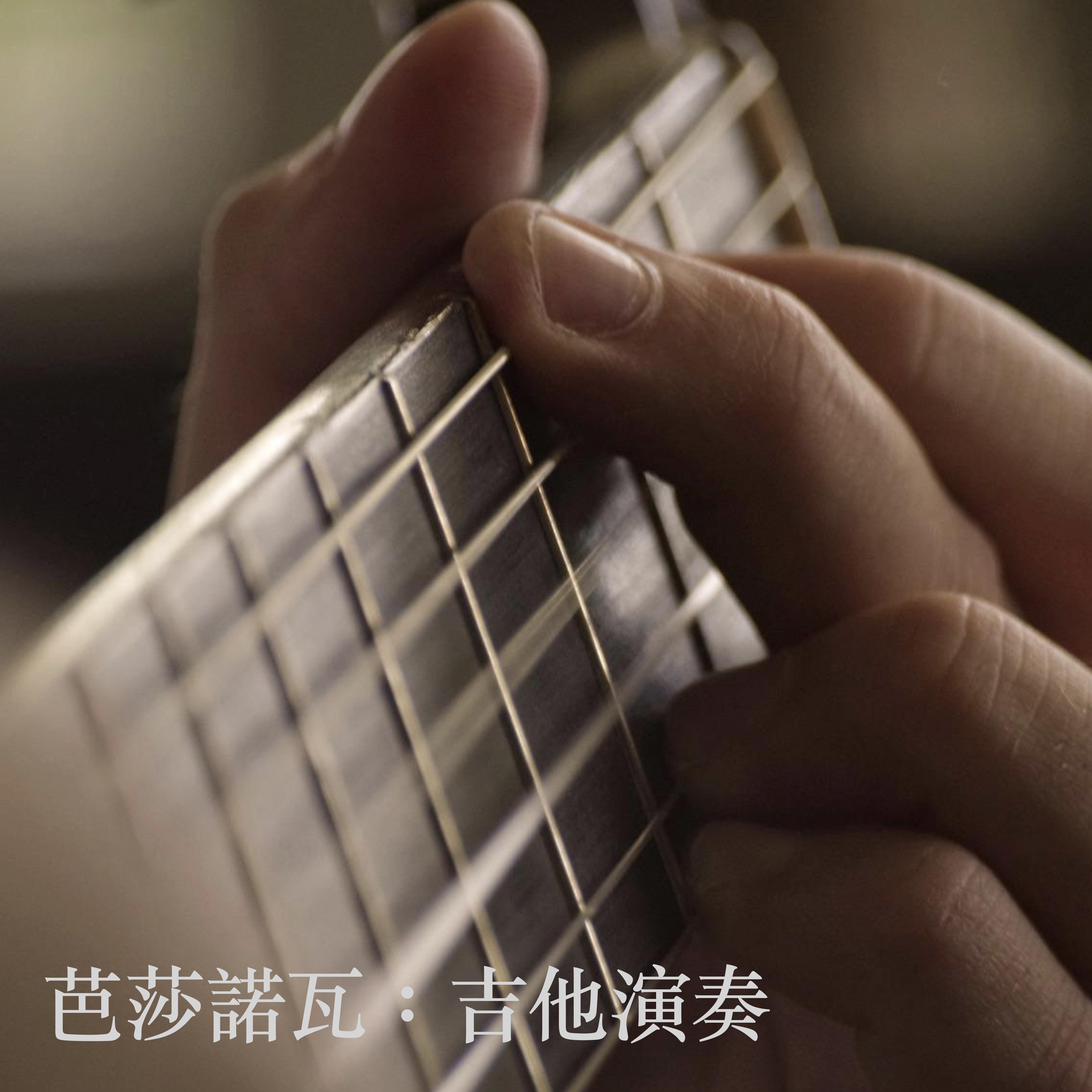 芭莎诺瓦：吉他演奏