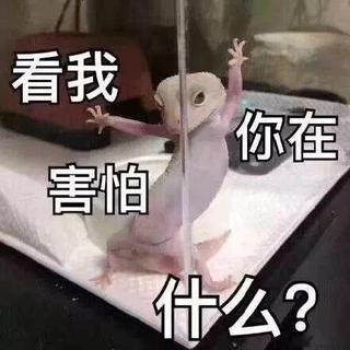 糟了，是触电的感觉