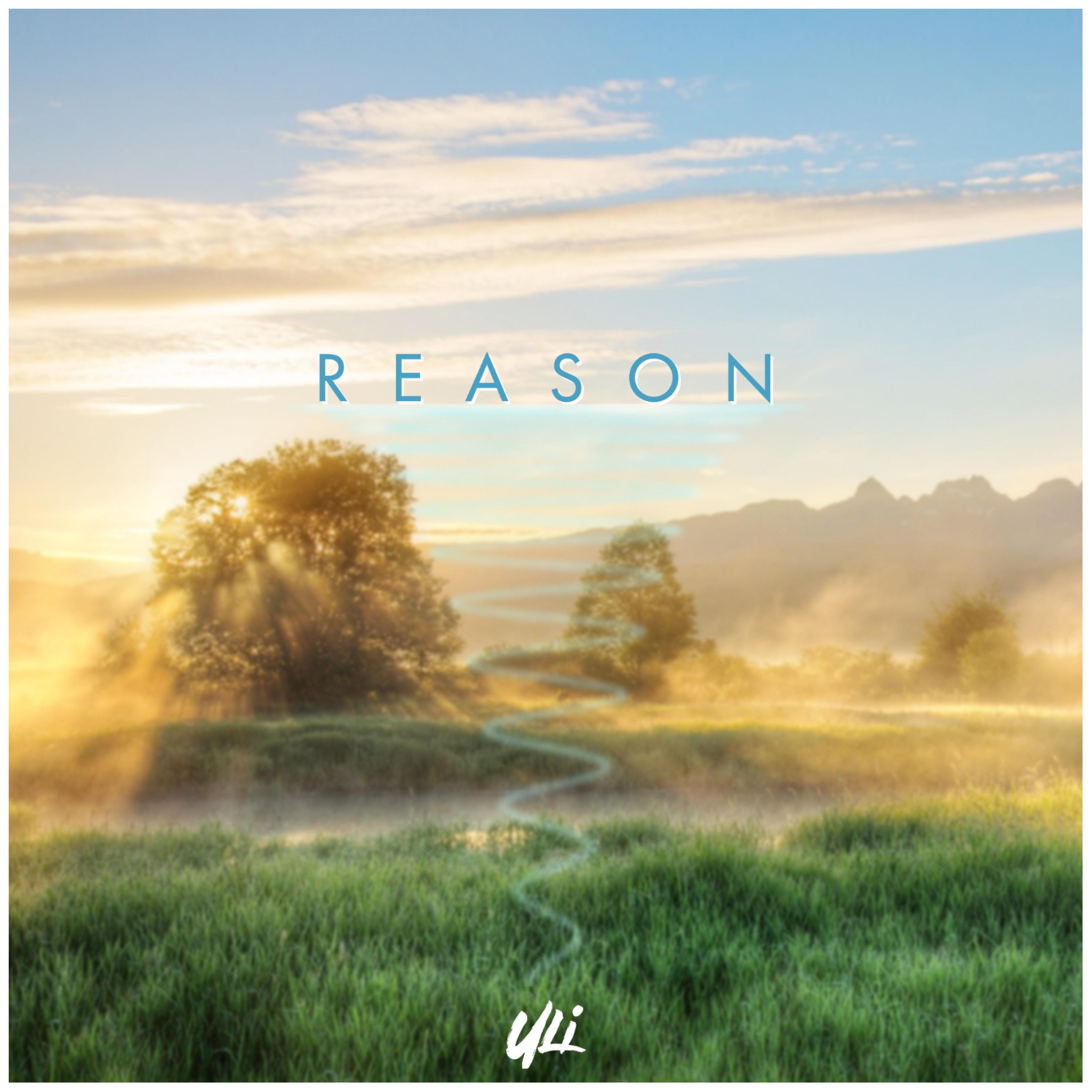 Reason