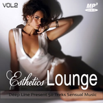 Esthetics Lounge Vol.02专辑