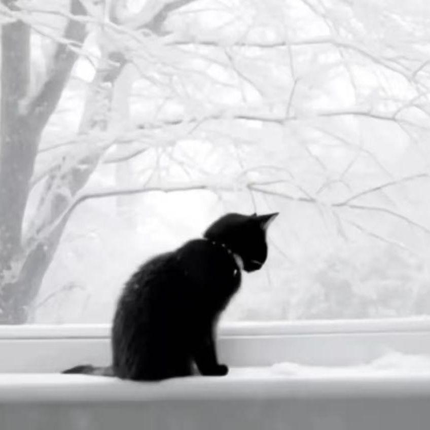 雪专辑