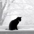 雪