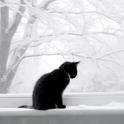 雪专辑