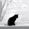 雪