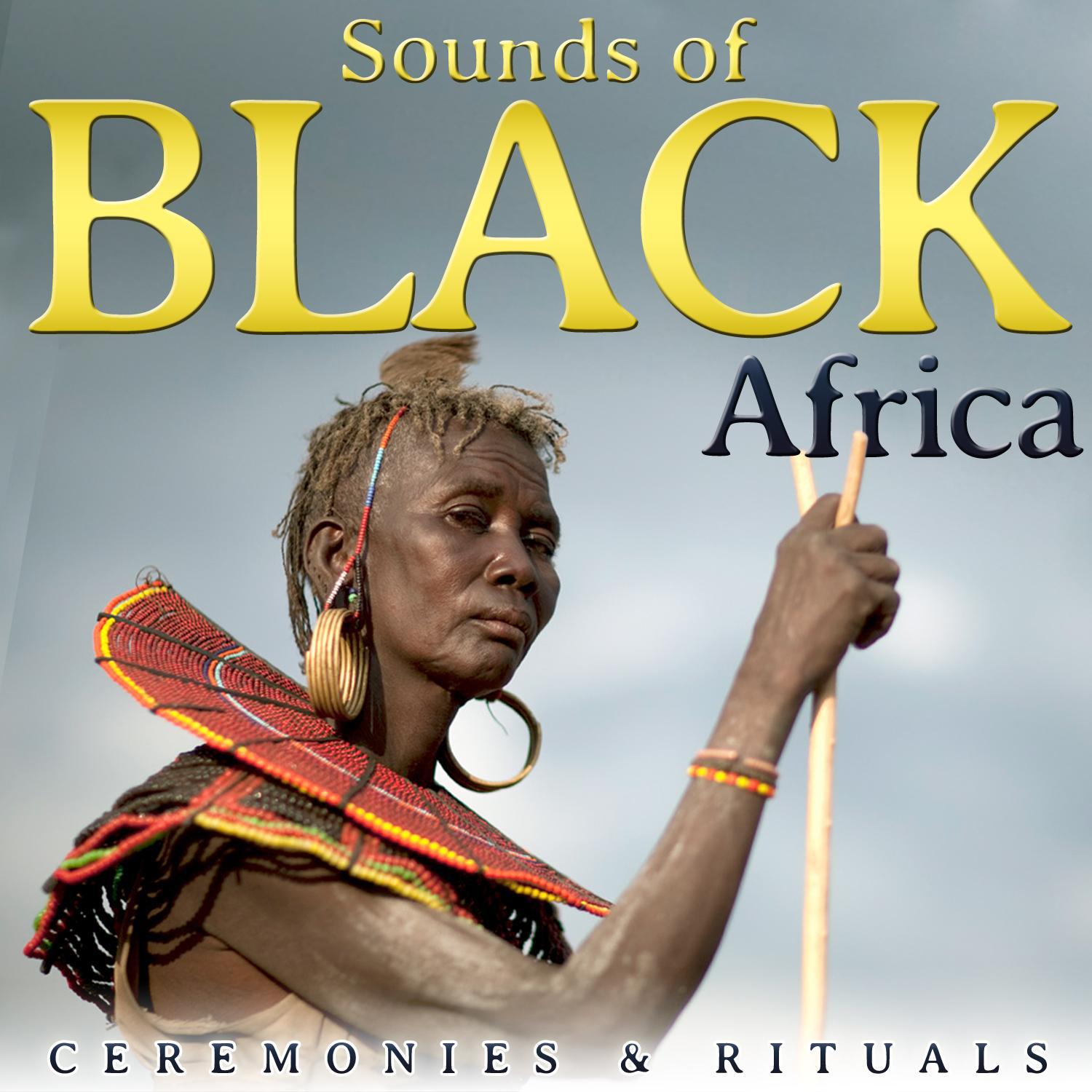 Chansons de Áfrique. Musique Traditionnelle Africaine专辑