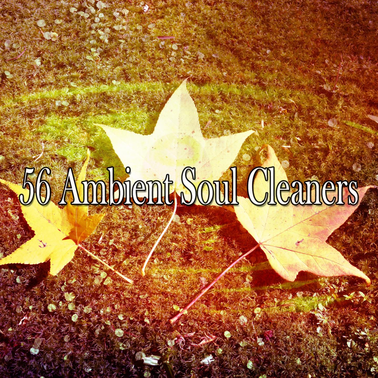 56 Ambient Soul Cleaners专辑