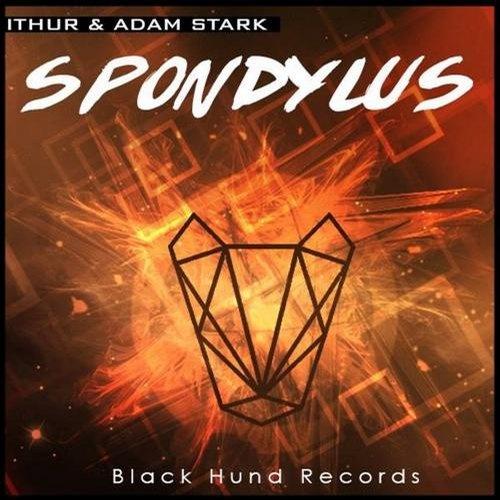 Spondylus (Original Mix)