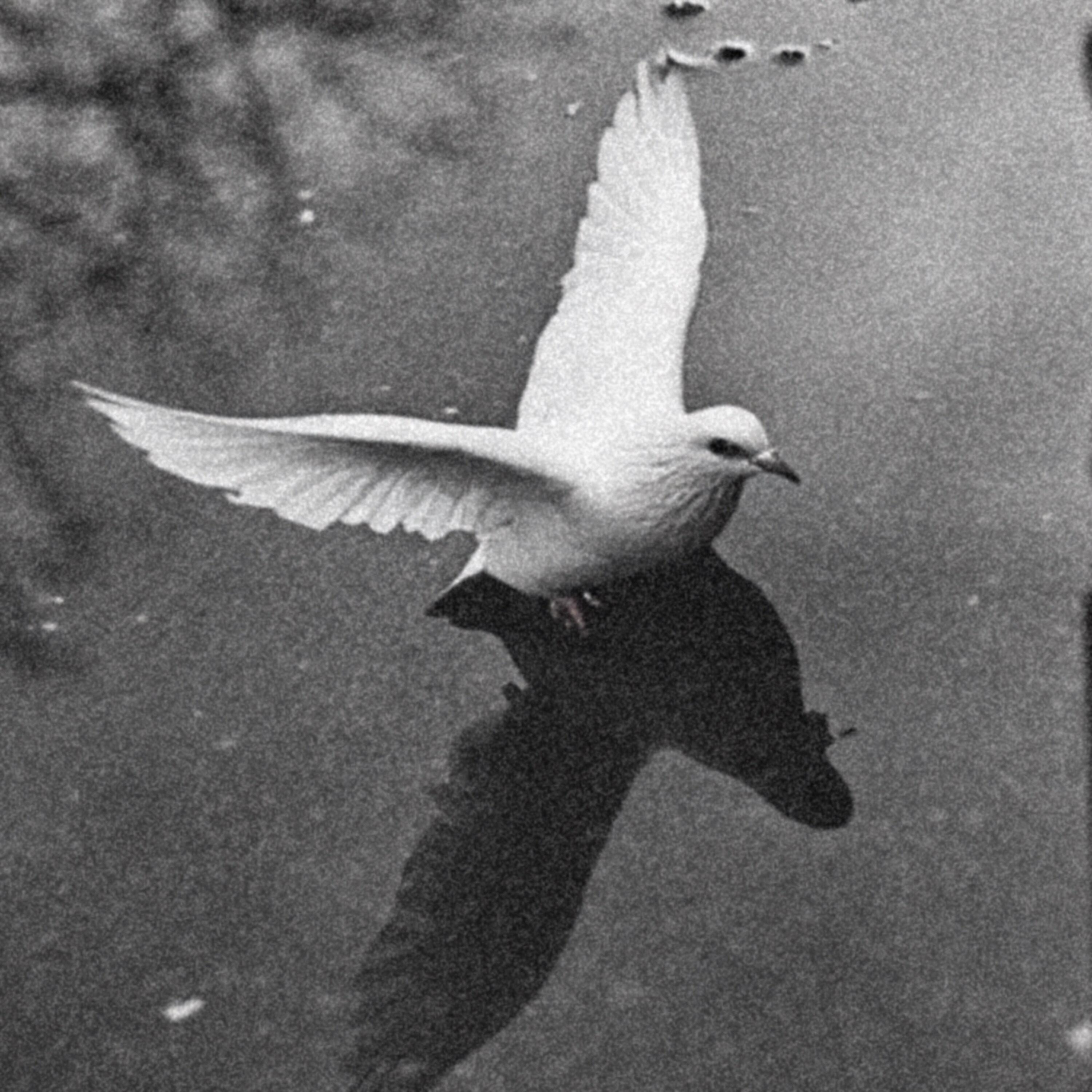 Red Velvet (with Ari Abdul)