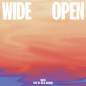 Wide Open (feat. Ta-ku & Masego)专辑