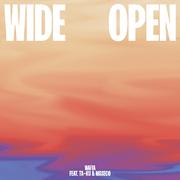 Wide Open (feat. Ta-ku & Masego)