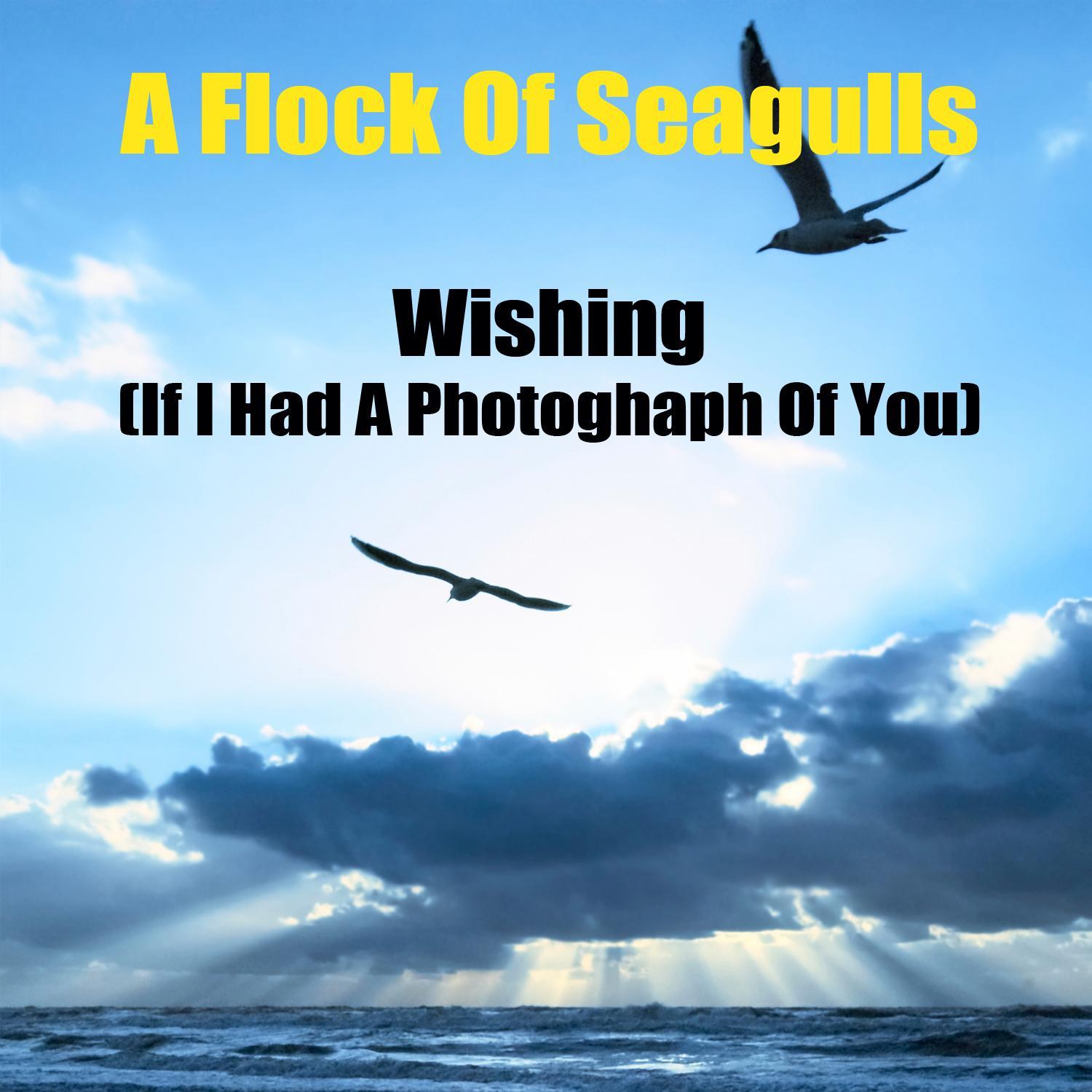 Wishing (If I Had A Photograph Of You) (Re-Recorded / Remastered)