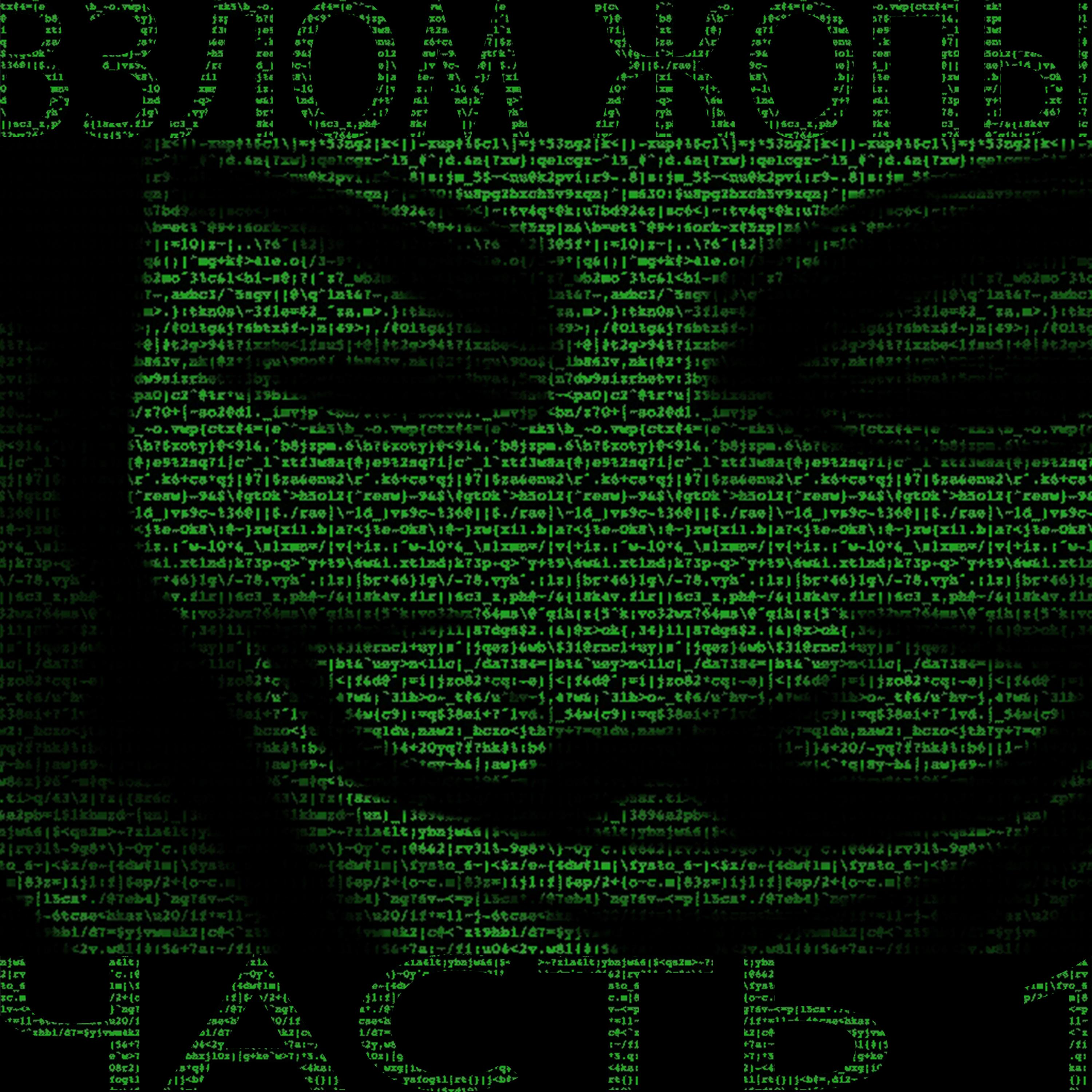 Взлом жопы, pt. 1