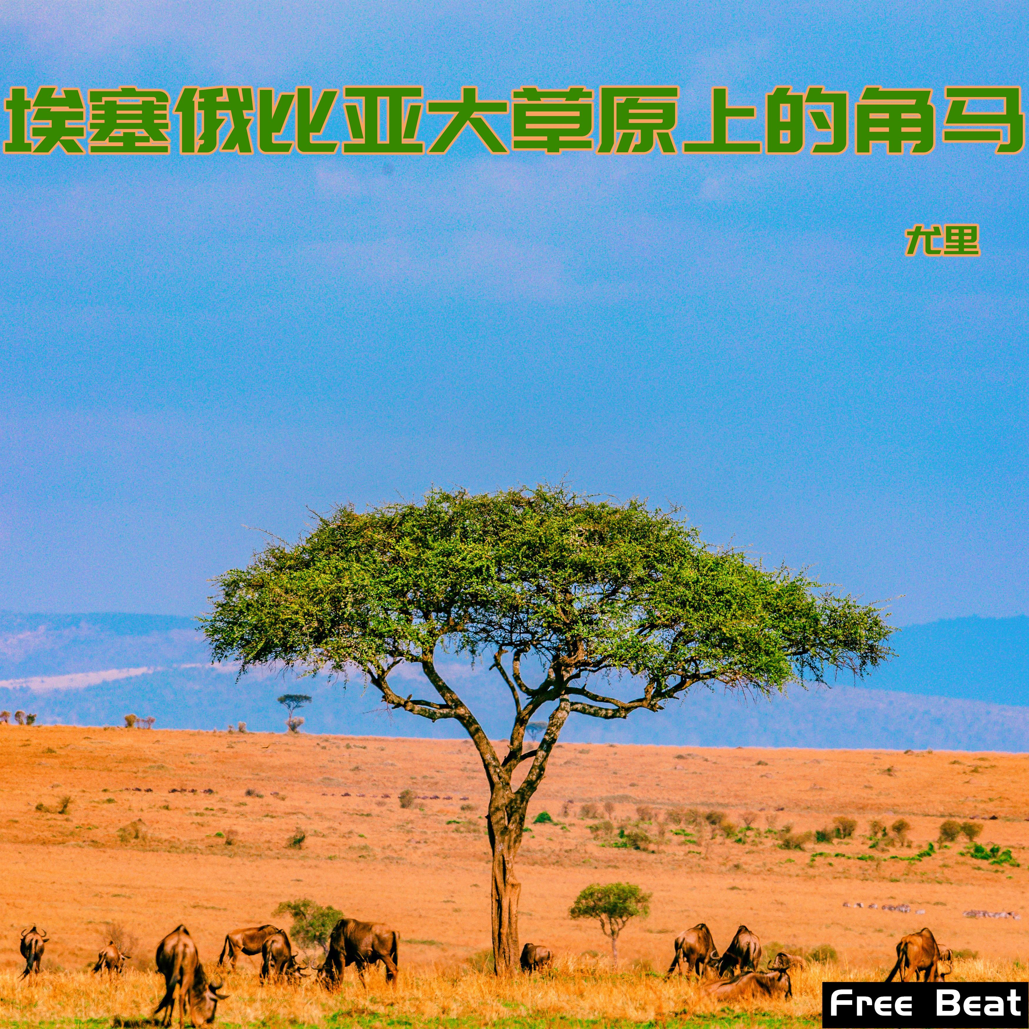 【Free Beat】埃塞俄比亚大草原上的角马