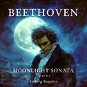 Beethoven - Moonlight Sonata Op. 27 n. 2专辑