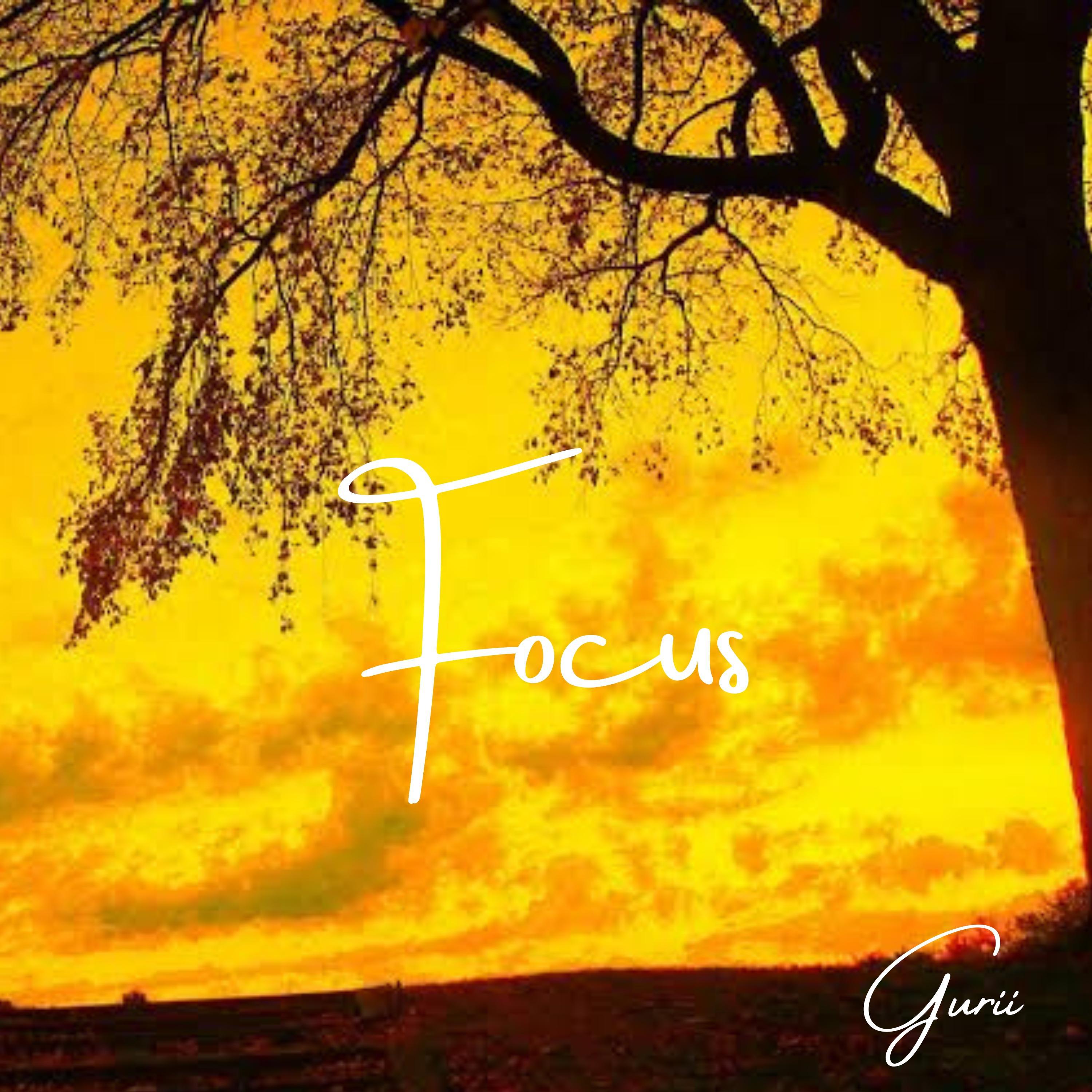 Gurii - Focus