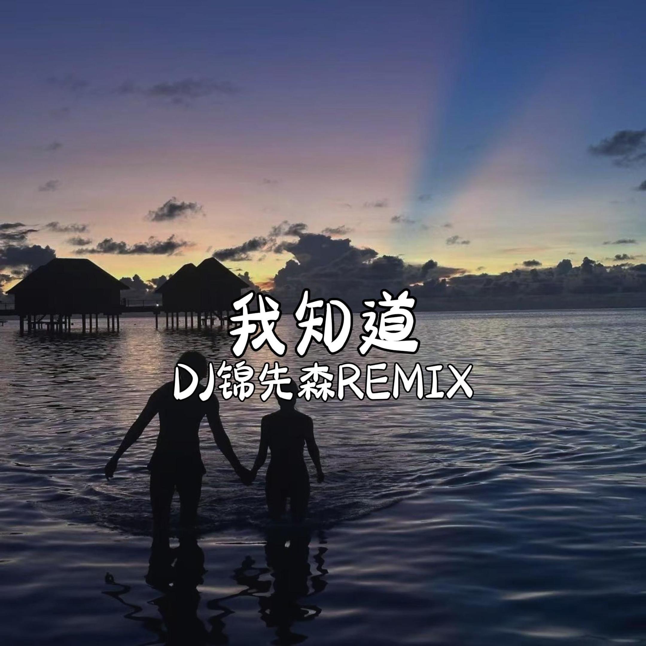 我知道（DJ锦先森 Remix）