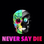 Never Say Die专辑