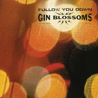 Gin Blossoms - Follow You Down ( Karaoke )
