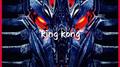 KingKong专辑