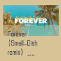 Forever (Small_Dish remix)